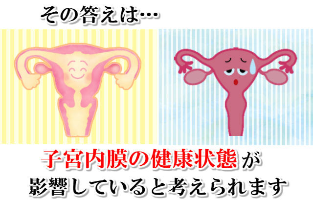 子宮の比較画像